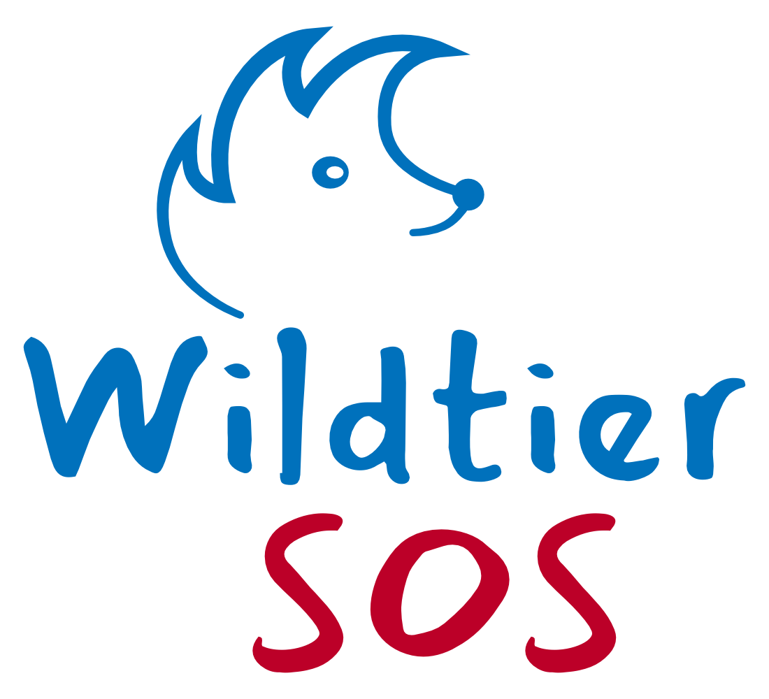 Vorschau Logo hoch