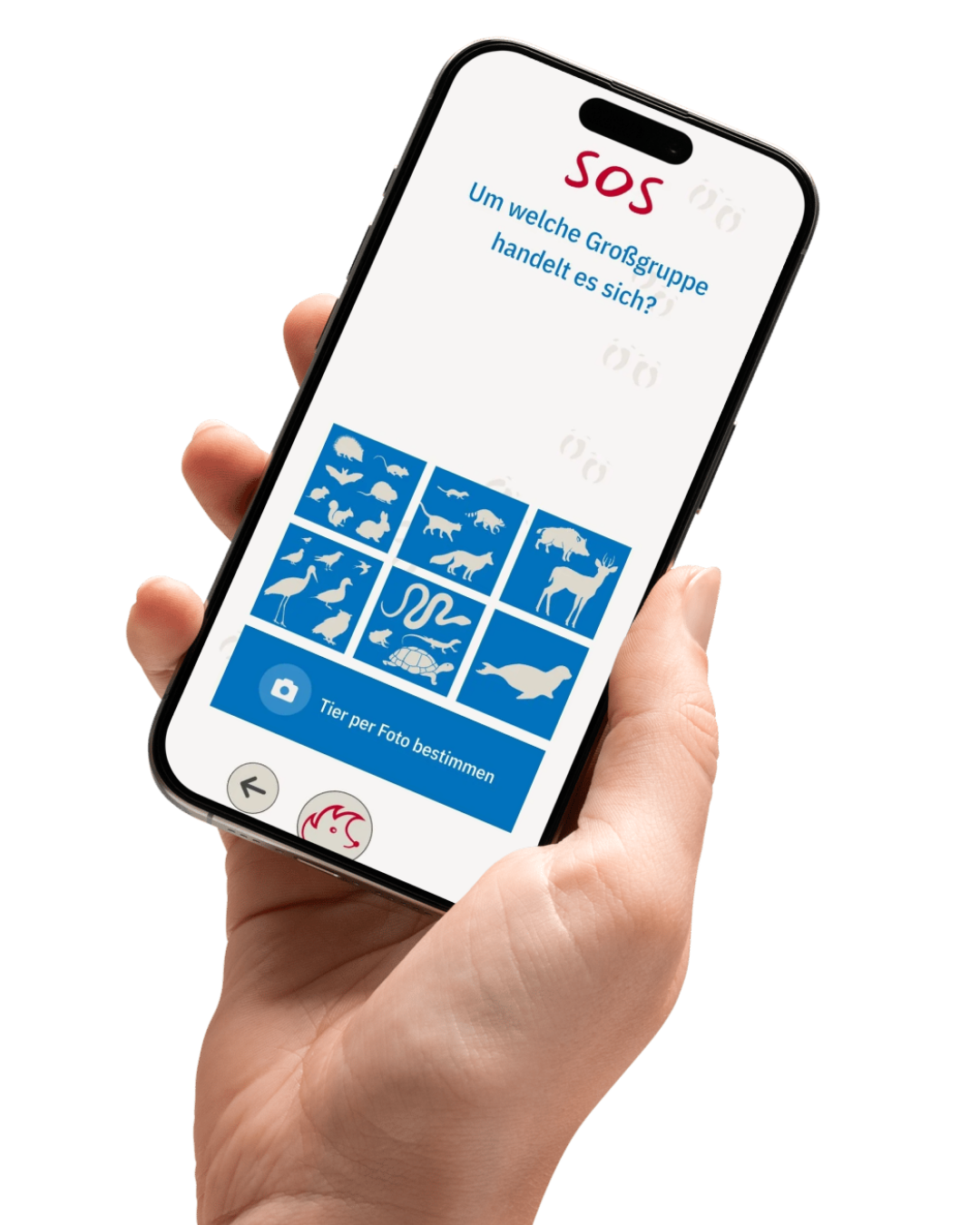 Vorschau Mockup 10