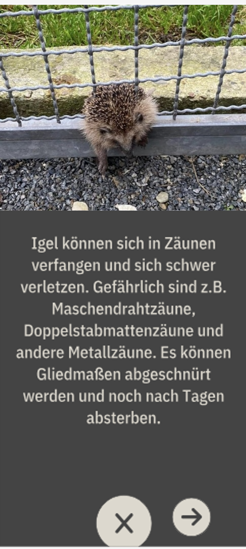 Vorschau Screenshot SOS Info